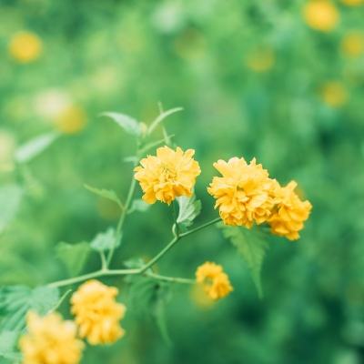 手趣游戏沧元绘卷下载